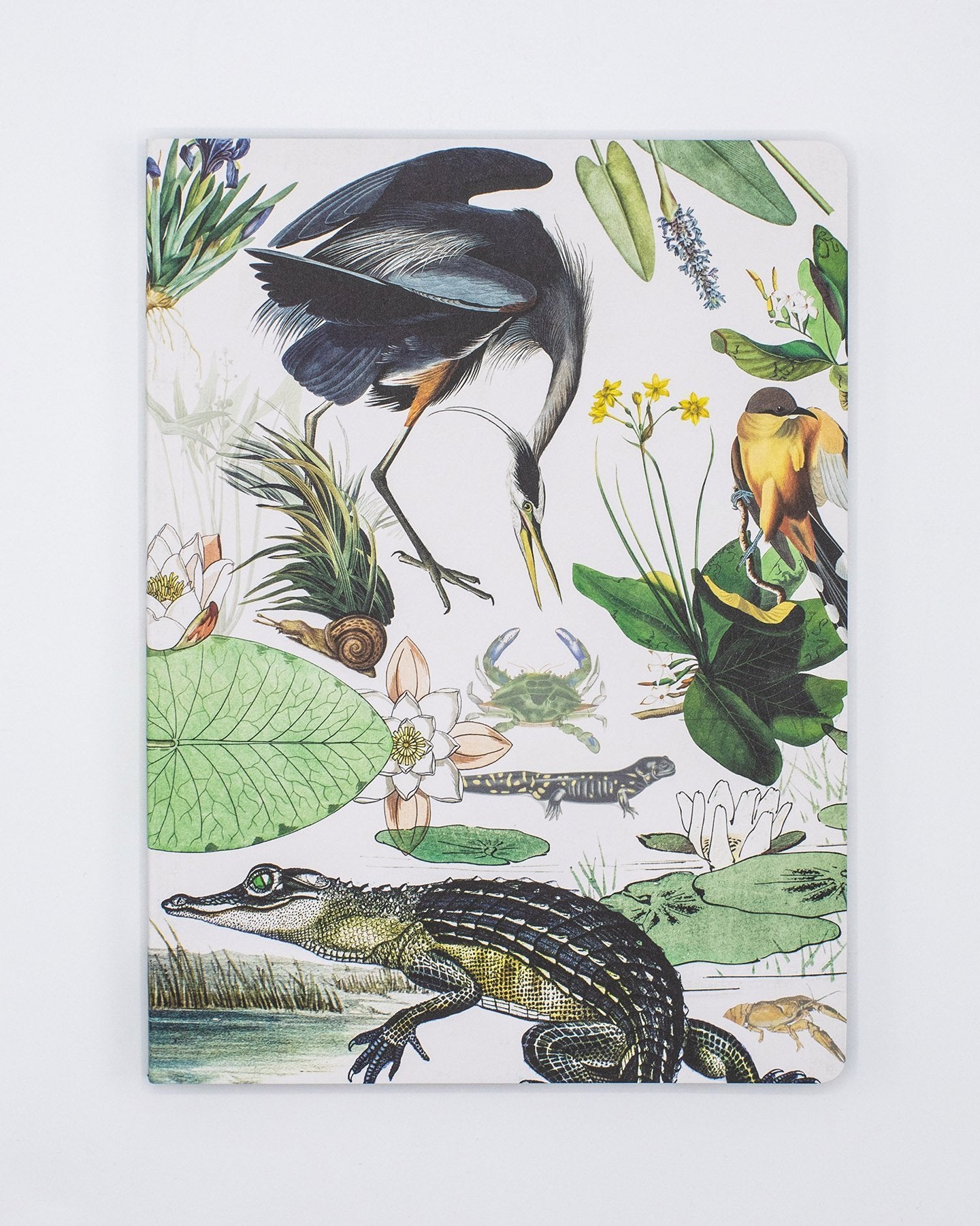Wetlands Softcover - Lined