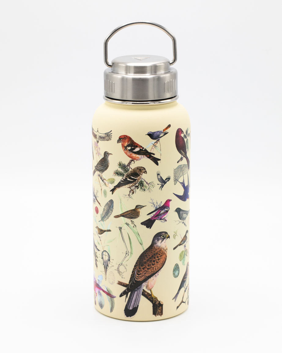 Birds 950 mL Steel Bottle