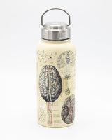 Bouteille en acier 950 mL Cerveau et neurosciences