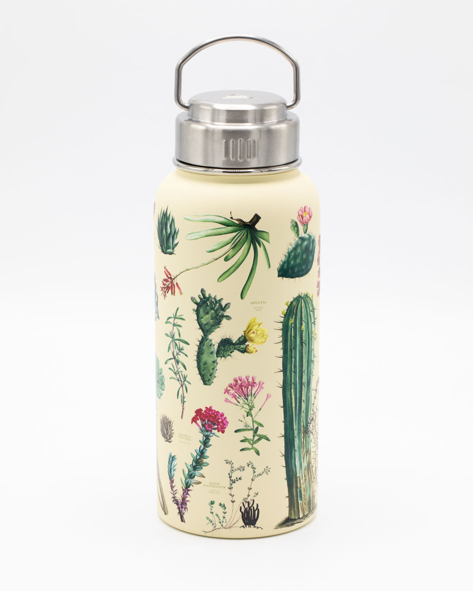 Succulents 950 mL Steel Bottle