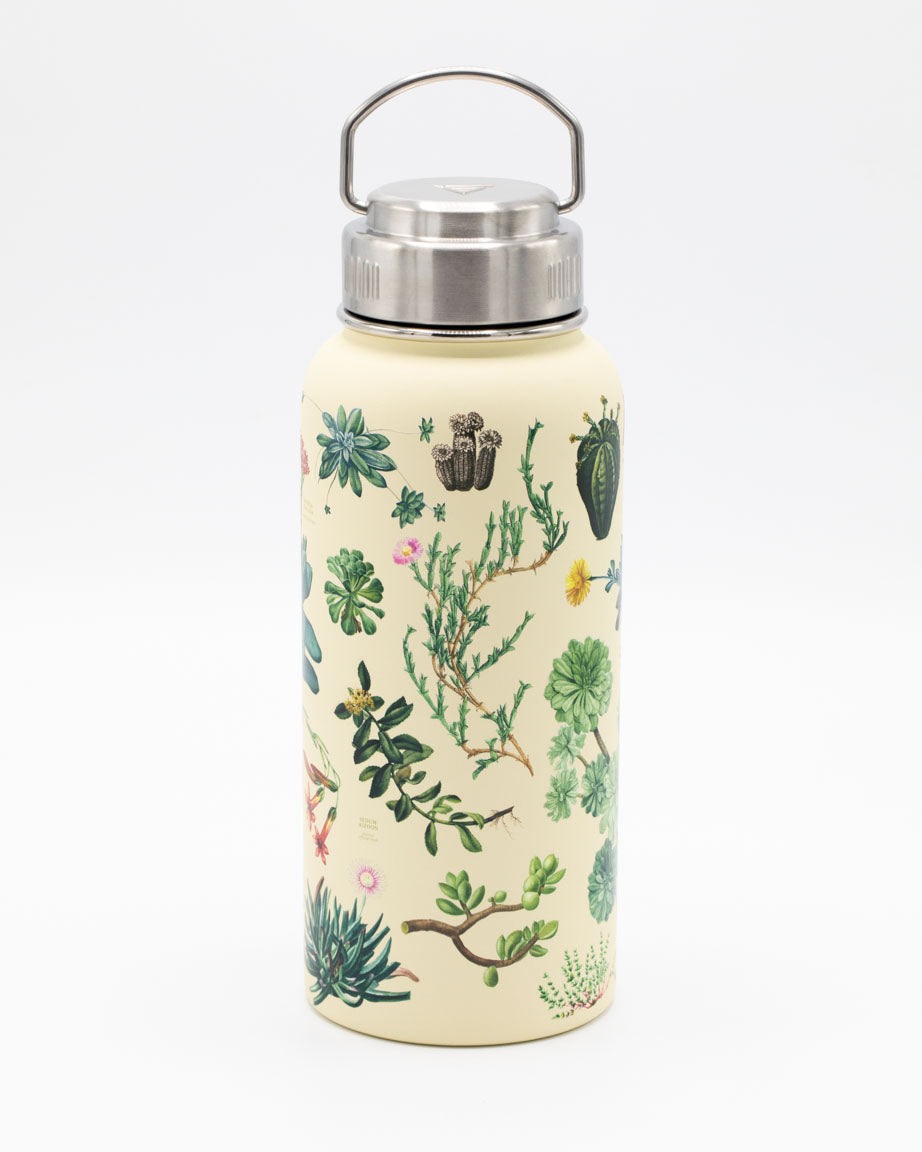 Succulents 950 mL Steel Bottle