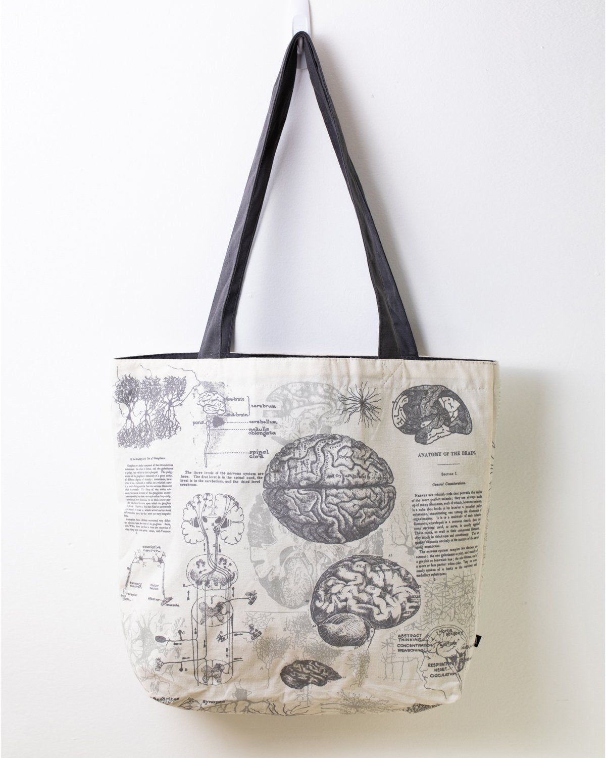 Brain Anatomy Canvas Shoulder Tote - Cognitive Surplus