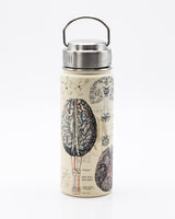Bouteille en acier 500 mL Cerveau & Neurosciences