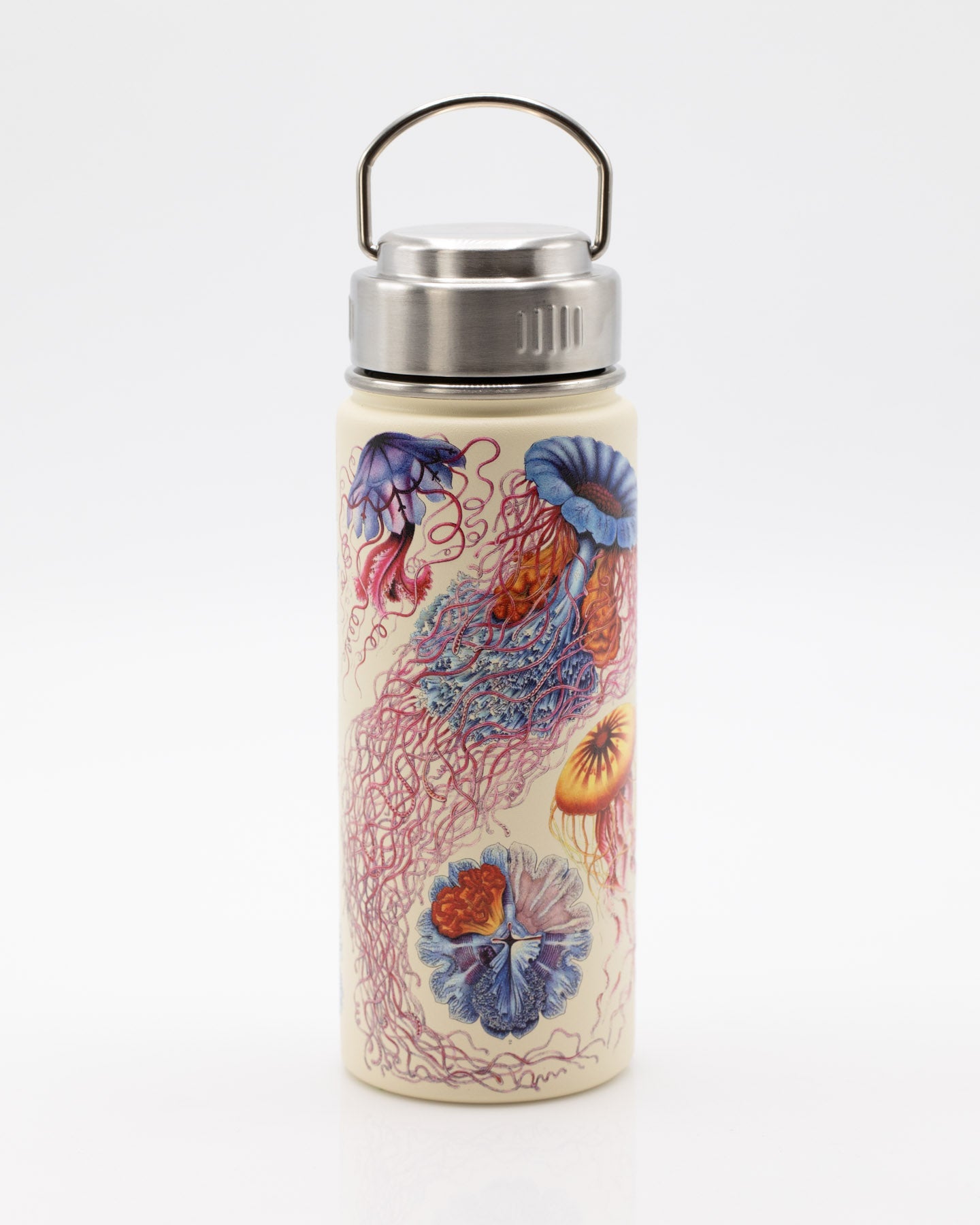 Haeckel Jellyfish 500 mL Steel Bottle