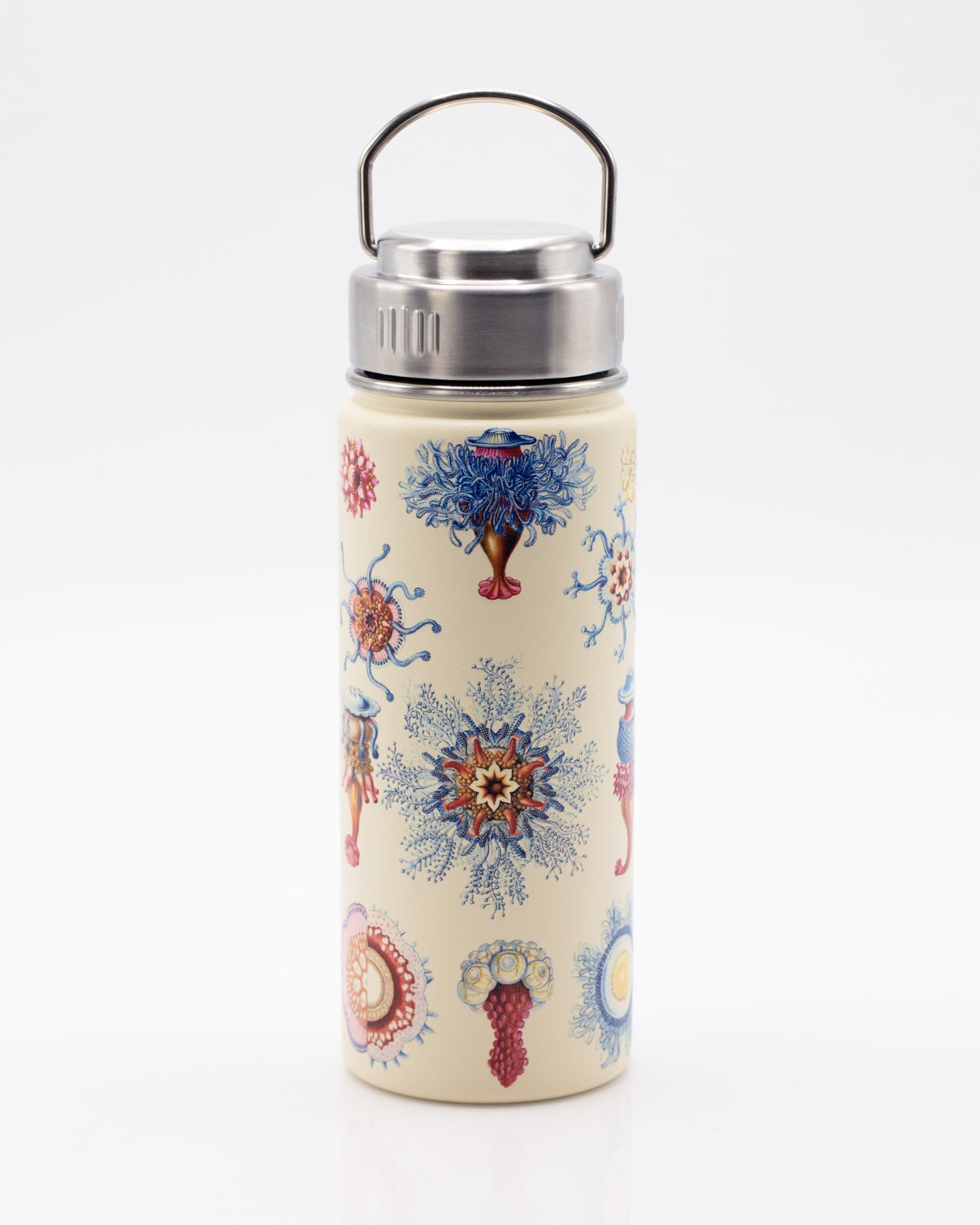 Haeckel Jellyfish 500 mL Steel Bottle