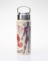 Human Anatomy 500 mL Steel Bottle