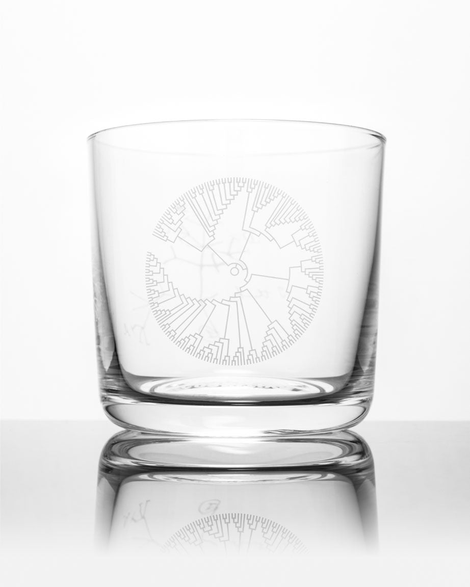 Tree of Life Whiskey Glass