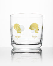 Hominid Skulls Whiskey Glass