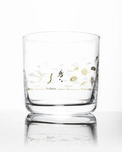 Geologic Time Scale Whiskey Glass