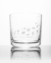 Geologic Time Scale Whiskey Glass