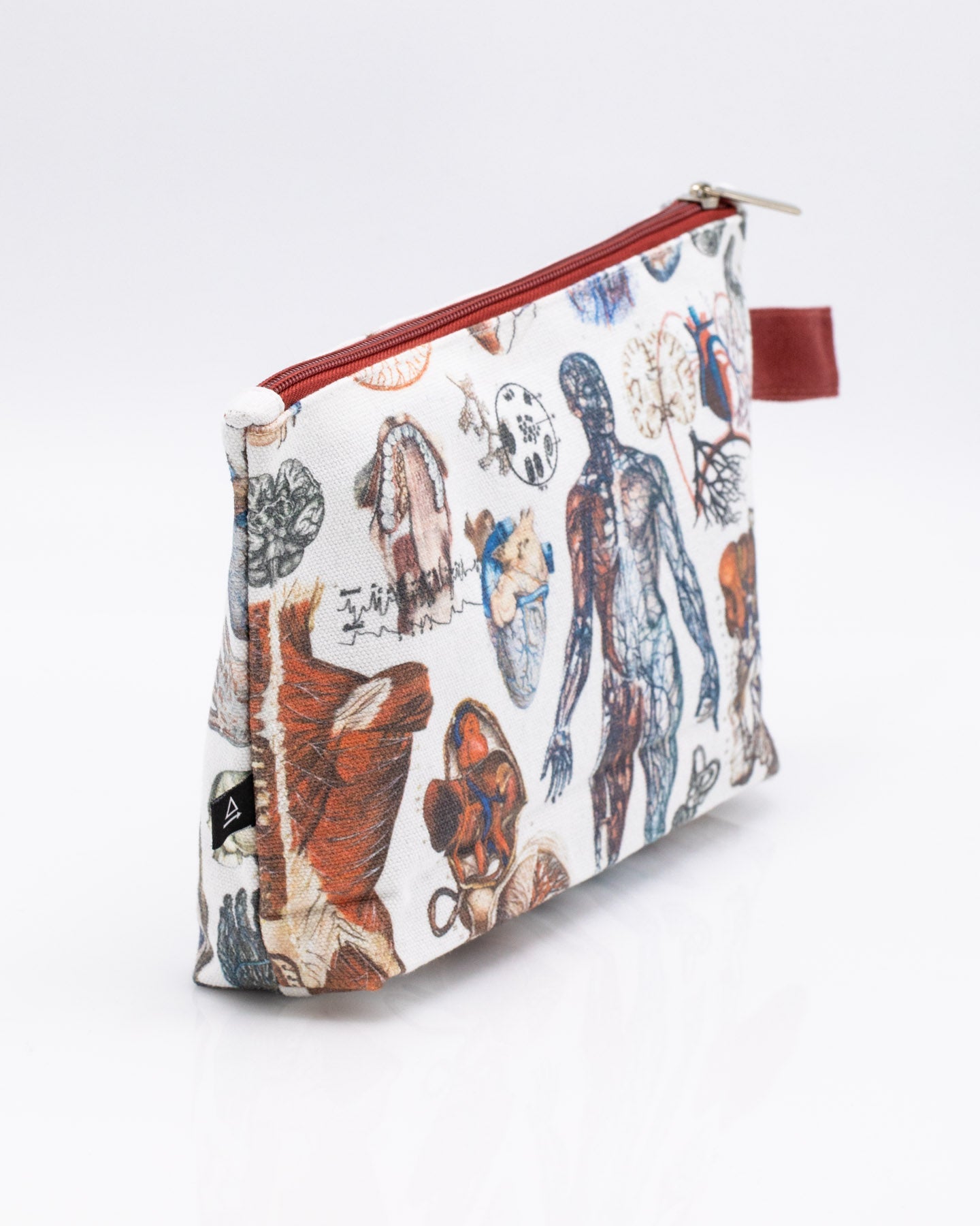 Anatomy Pencil Bag