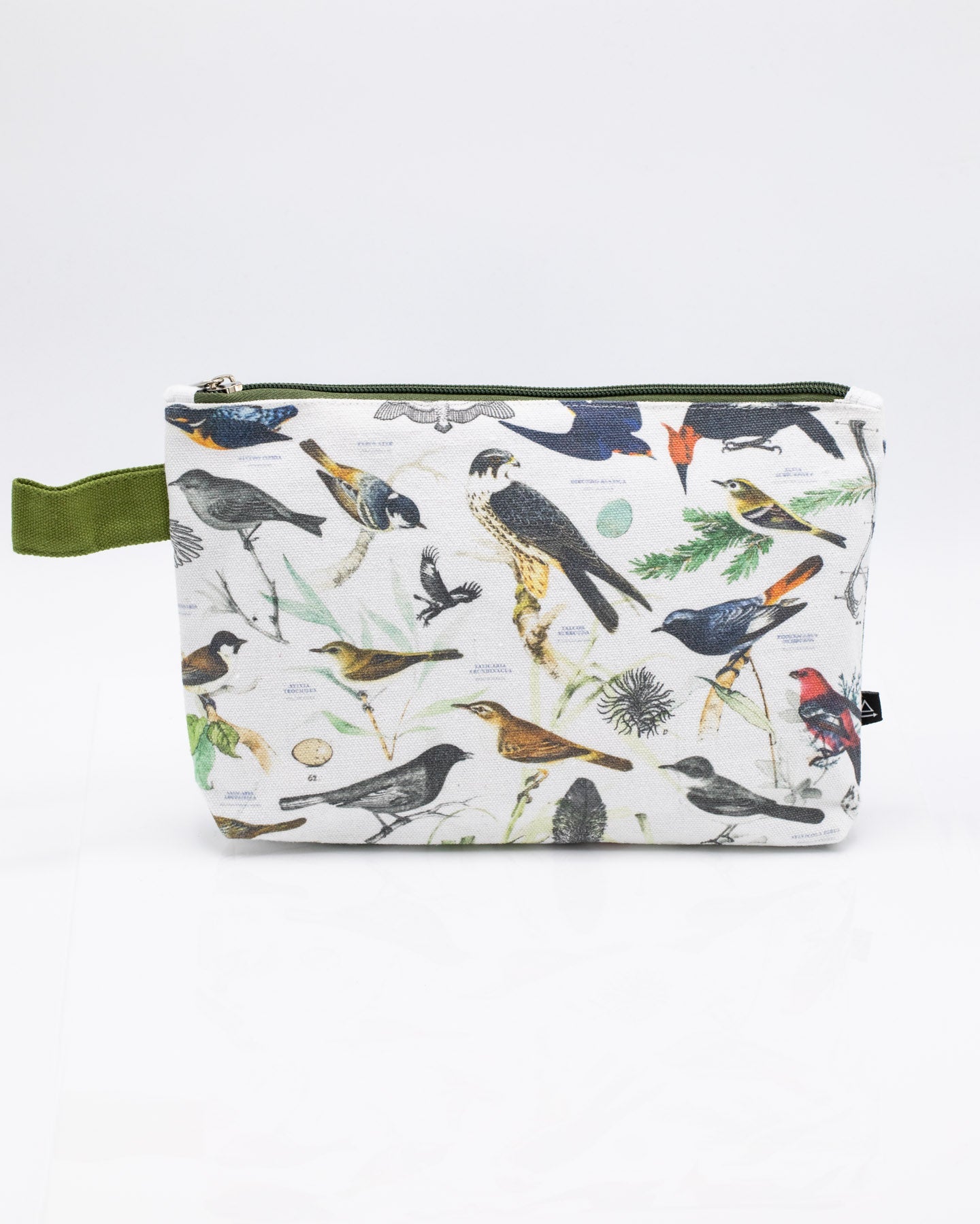 Ornithology: Birds Pencil Bag