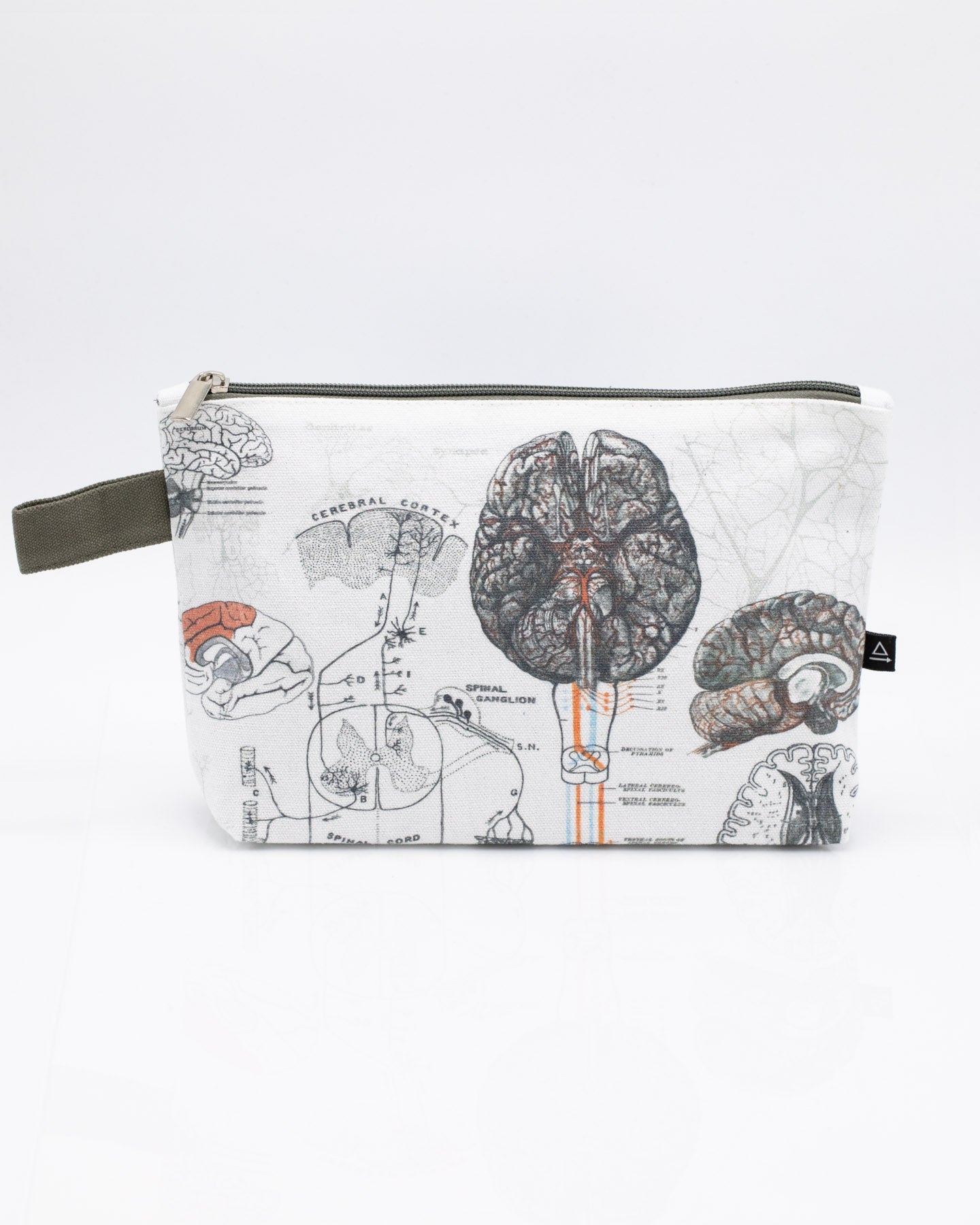 Brain Anatomy Pencil Bag