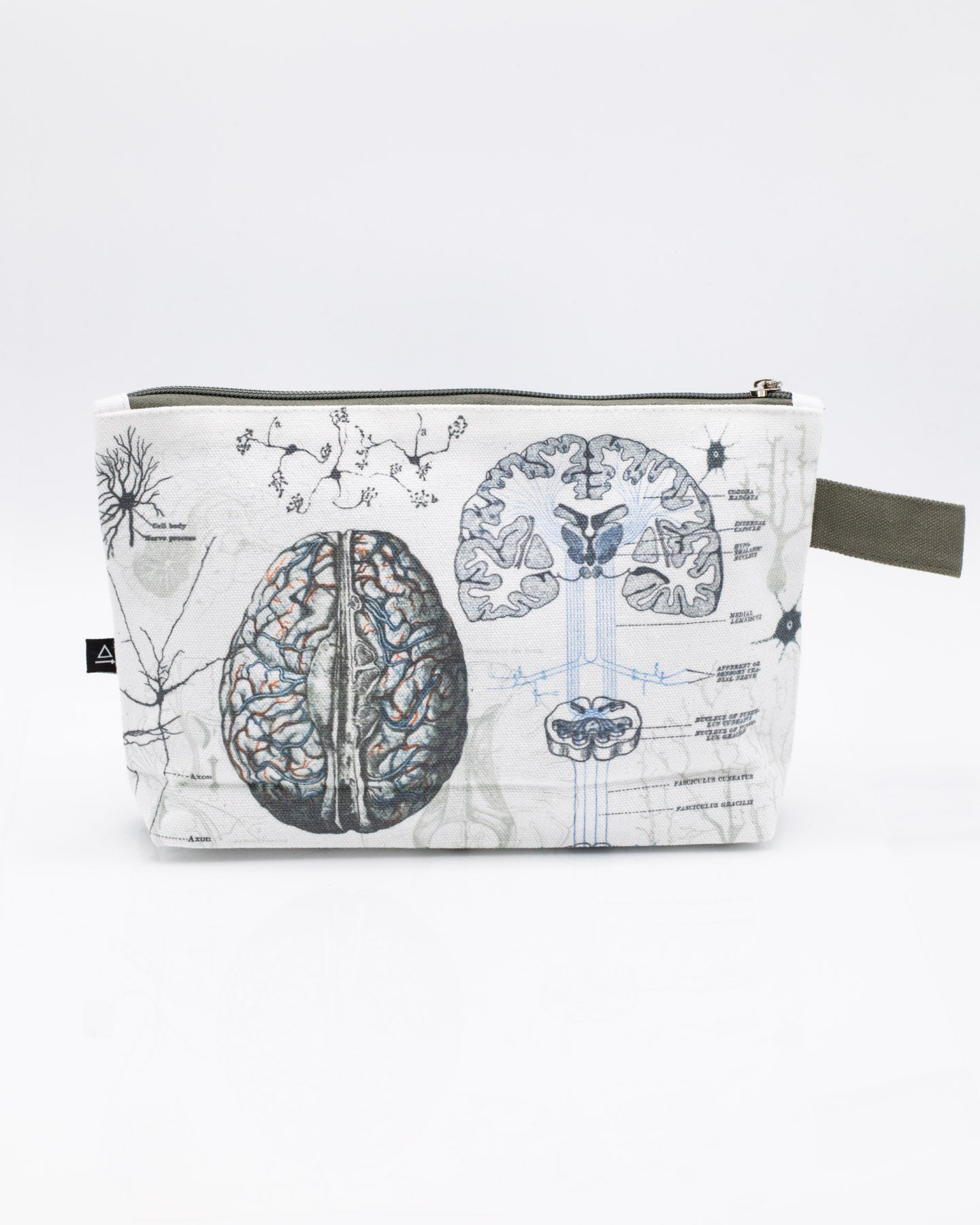 Brain Anatomy Pencil Bag