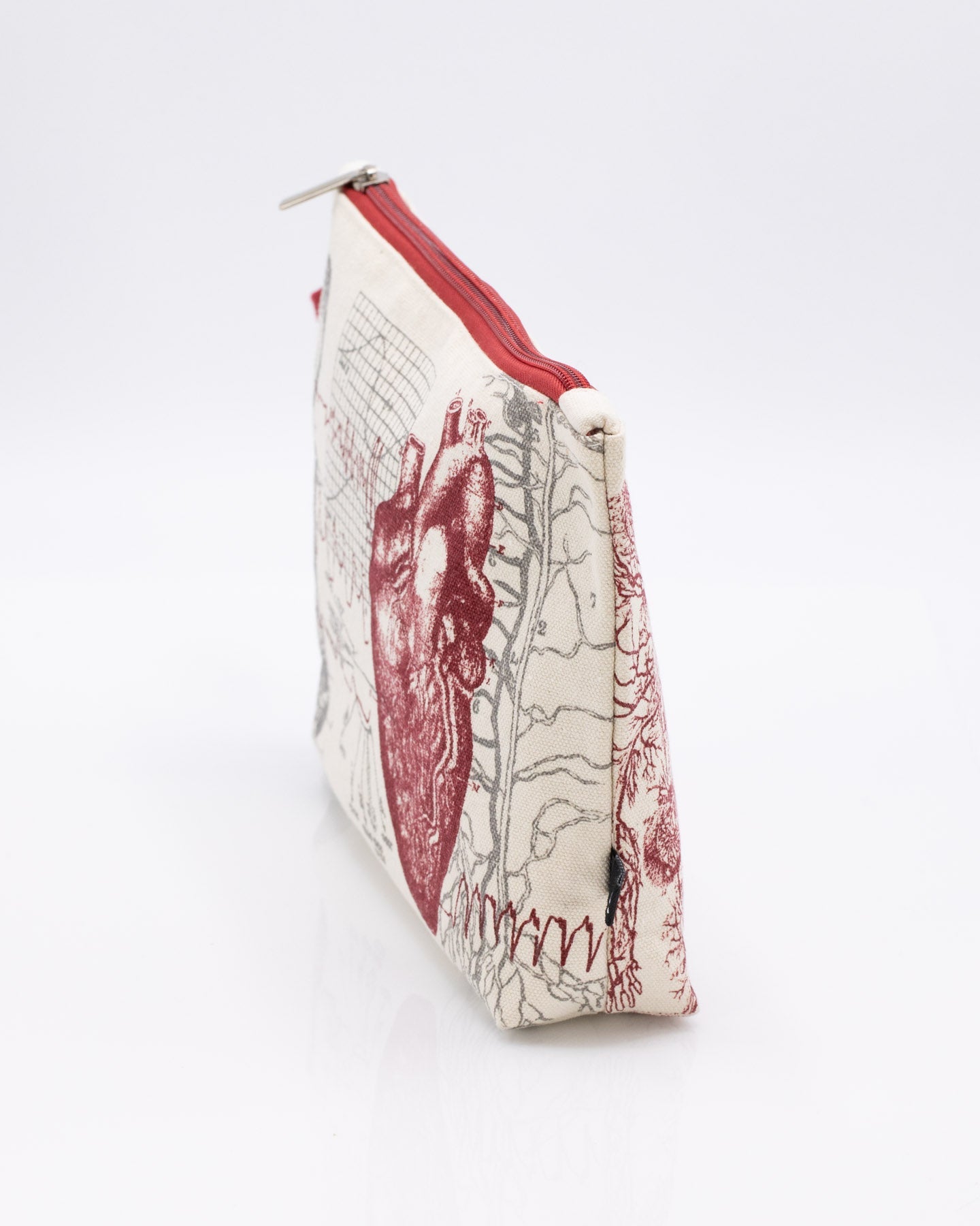 Anatomical Heart Pencil Bag